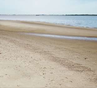 Eindrücke vom Strand der Insel Krautsand