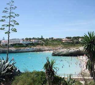 Der Strand Calas Domingo