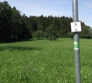 Premiumspazierweg Früchtetrauf-Leisawegle