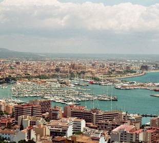 Blick auf Hafen Mallorca