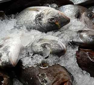 Den Fisch kann man sich vorher aussuchen.