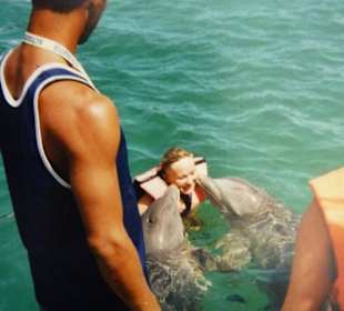 Schwimmen mit Delfinen