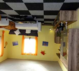 Bilder aus den Räumen des "verkehrten" Hauses