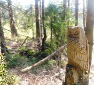 Wandern Neureichenau