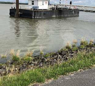 Wandern Hollern-Twielenfleth