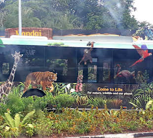 Shuttlebus