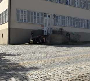 Schloss Solitude