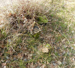 Wunderschöne Boberger Niederung