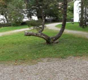 Seelenkapelle