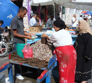 Ganz frische Muscheln