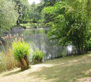 Regent´s Park Impressionen