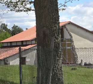 Römisches Freilichtmuseum Hechingen-Stein