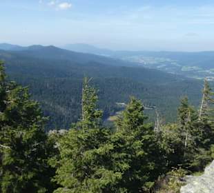 Bei unserer Wanderung zum / am Kleinen Arber