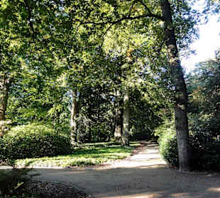 Spaziergang durch Knoops Park