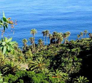 Blick vom Mirador aufs Meer