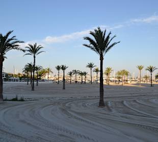 El Arenal at the morning - The Best Beach