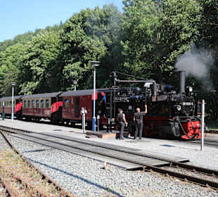 Historischer Dampfzug