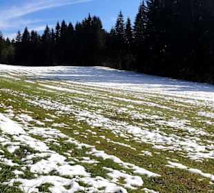 Unser erster Schnee 2020