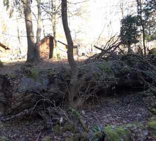Wandertour Eppenzill