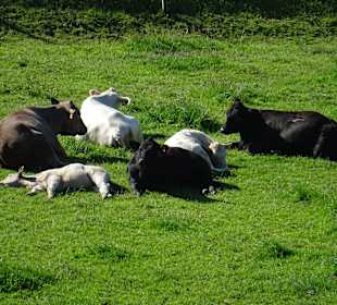 Wandergebiet Fränkische Schweiz