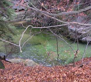 Trasa wiodąca do wodospadu