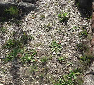 Park Oase der Gesundheit