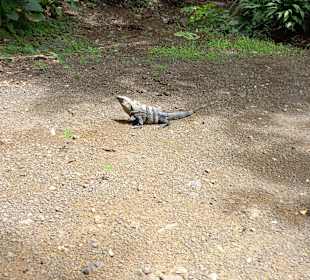 Diamante Eco Adventure Park