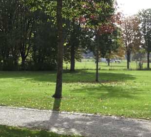 Sole-Allee