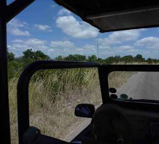 Krüger Nationalpark