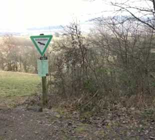 Rundwanderung durch den Rauhen Rammert Hemmendorf