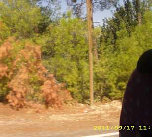 Mit dem Bus unterwegs zum Taurusgebirge