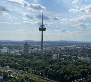 Ausblick