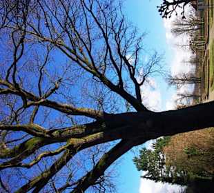 Super Baum gleich am Anfang