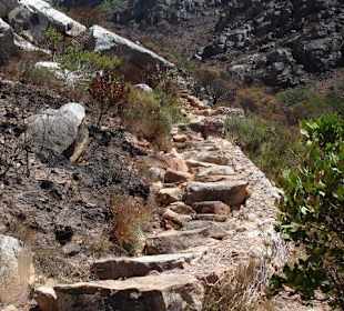 Wanderung auf denTafelberg