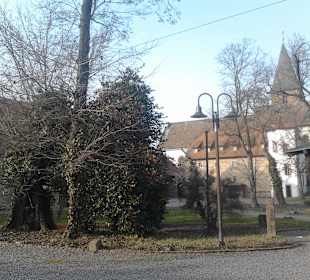 Herrenhof Mußbach