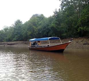 Mangroven-Boot