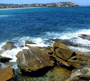 Bondi to Coogee Walk