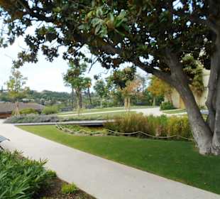 Jérôme Cuzin Centre