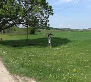 Klimaweg Sonnenalb