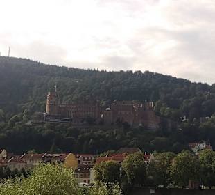 Das Schloß vom Karlsplatz aus betrachtet