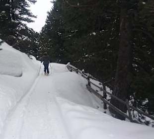 Wandern Velturno / Feldthurns