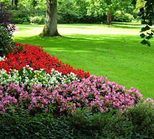 Hochsommer im Kurpark Bruchhausen-Vilsen