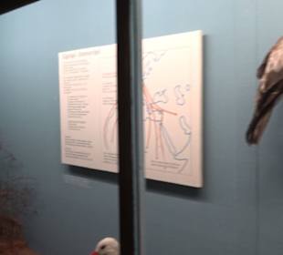 Museum für Naturkunde