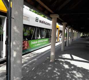 Fahrt mit der Waldbahn nach Zwiesel