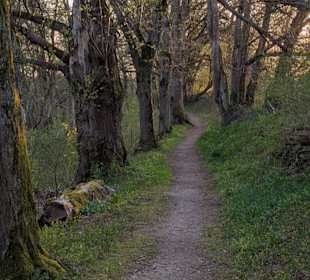 Ausssichtspunkt Kapffelsen