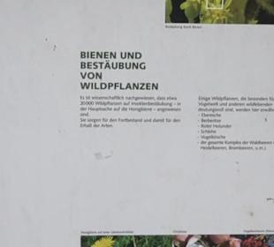 Naturinfopfad Weggental