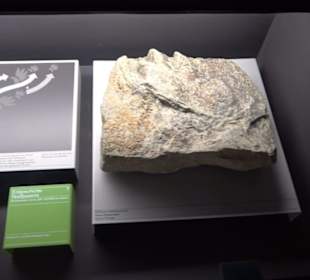 Jura-Museum