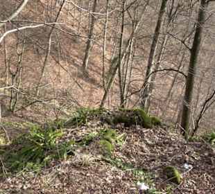 Wasserfallsteig