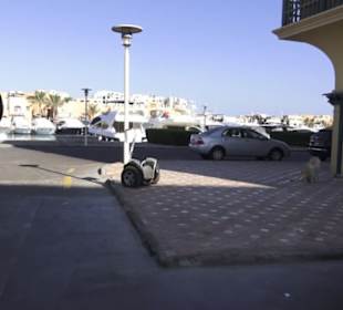 Stadtbesichtigung El Gouna