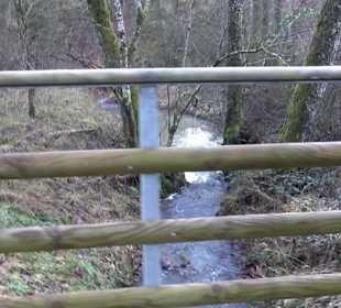 Wanderung rund um den Ochsenweiher